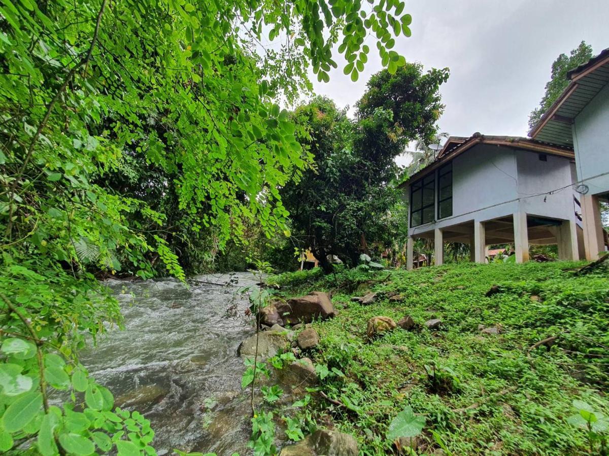 Malulee Khaosok Resort Khao Sok National Park Extérieur photo