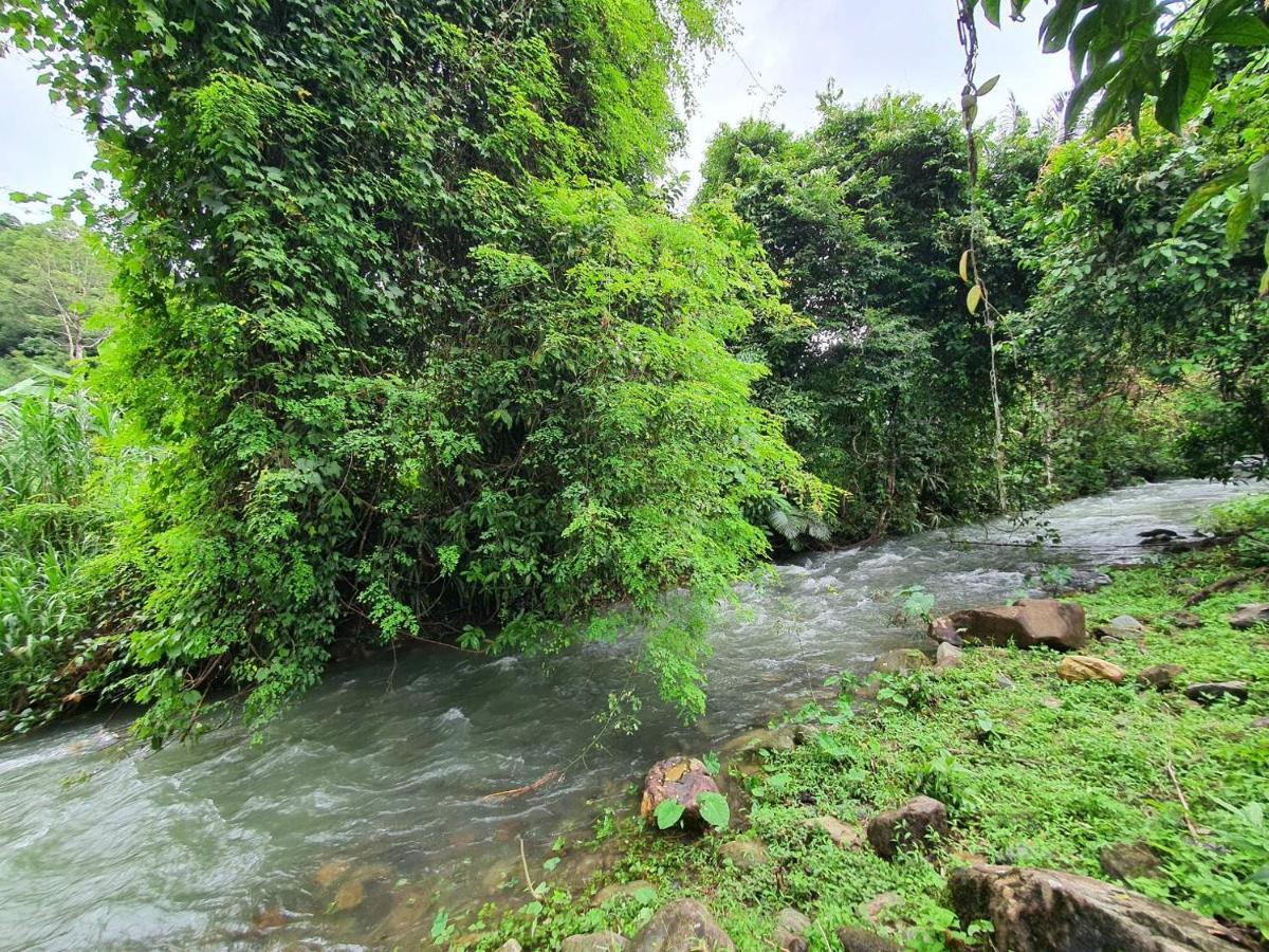 Malulee Khaosok Resort Khao Sok National Park Extérieur photo