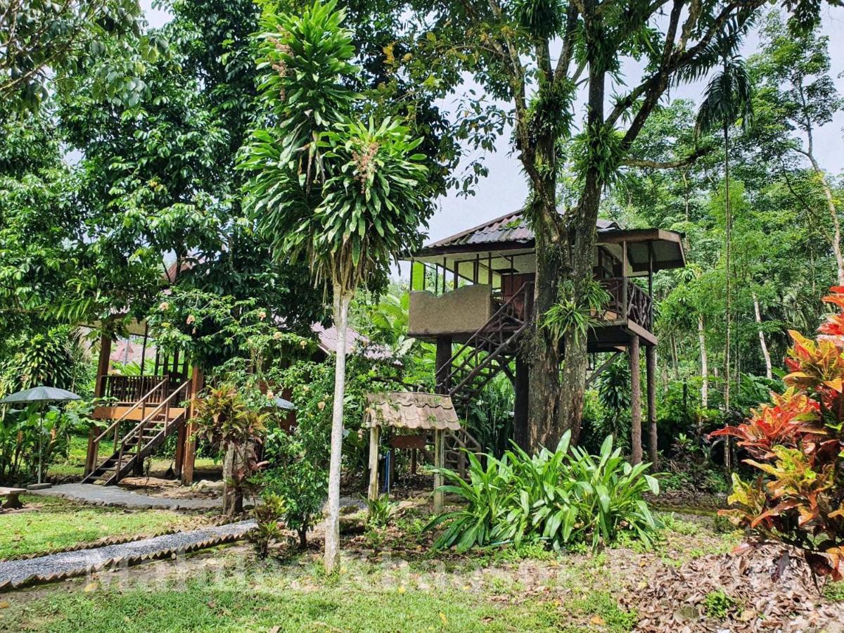 Malulee Khaosok Resort Khao Sok National Park Extérieur photo