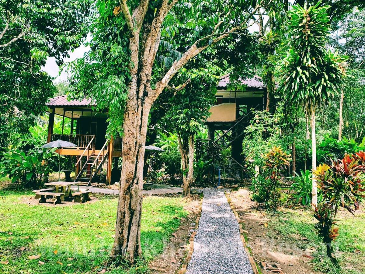 Malulee Khaosok Resort Khao Sok National Park Extérieur photo