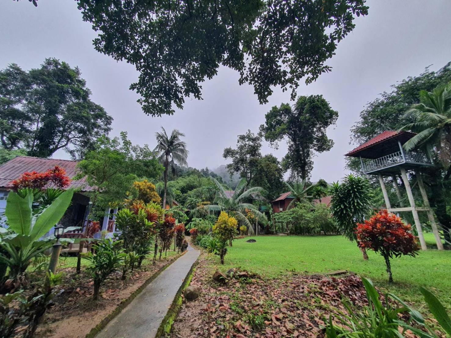 Malulee Khaosok Resort Khao Sok National Park Extérieur photo